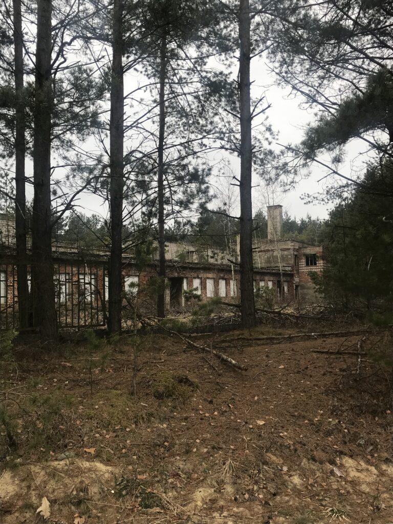 Pustostan, Przybynów, województwo śląskie - zdjęcie 5