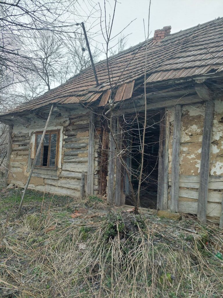 Stara chata bez ściany Dąbie, Dąbie, województwo małopolskie - relacja z 03.2023, zdjęcie 5