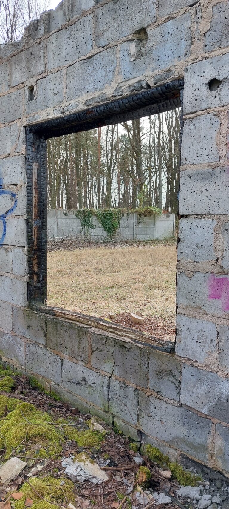 Mały domek, Łódź, województwo łódzkie - zdjęcie 4