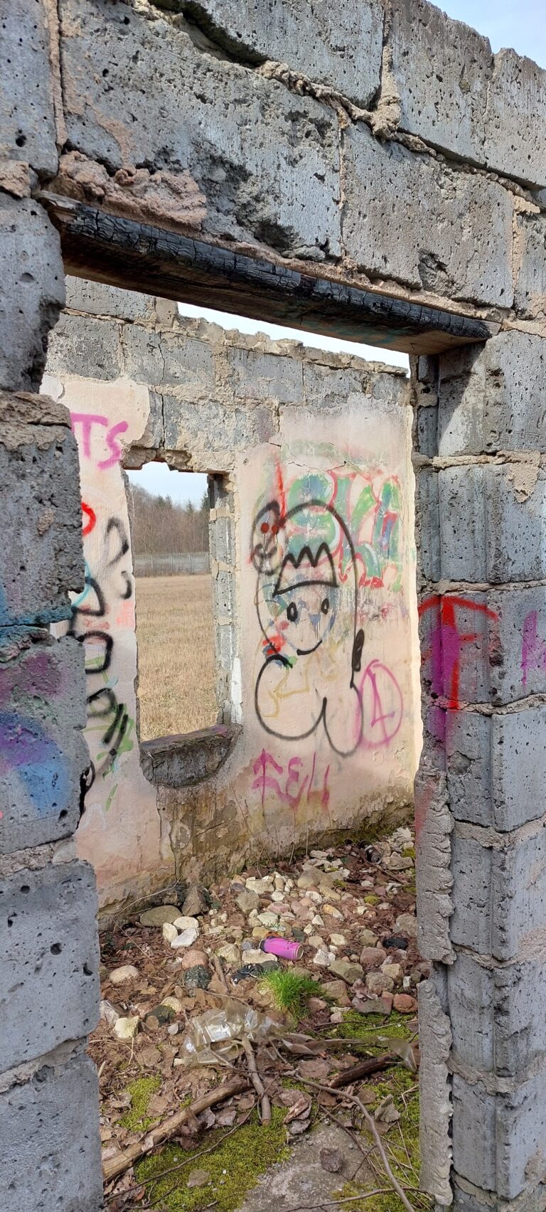Mały domek, Łódź, województwo łódzkie - zdjęcie 5