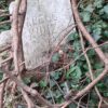 Stary cmentarz ewangelicki w Bielsku – Białej Bielsko-Biała