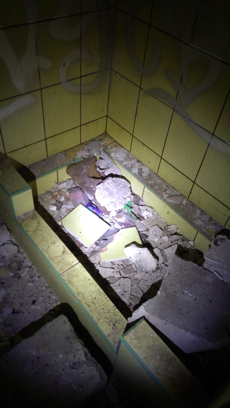 Dom z basenem, Otwock, województwo mazowieckie - zdjęcie 5