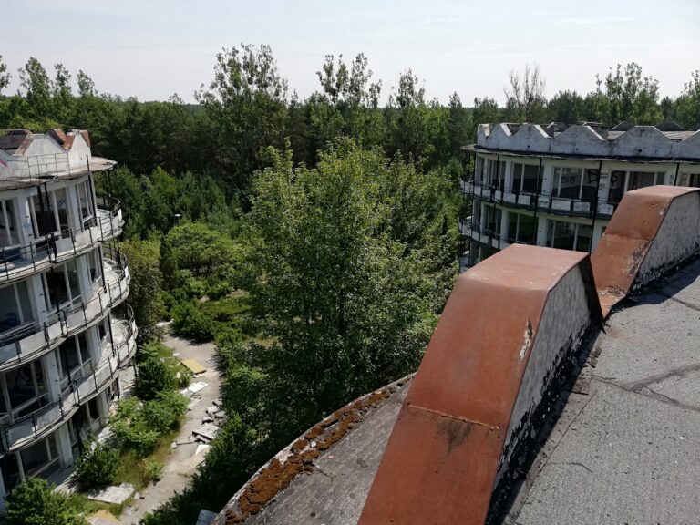 Okrąglaki, Miałkówek, województwo mazowieckie - relacja z 06.2019, zdjęcie 77