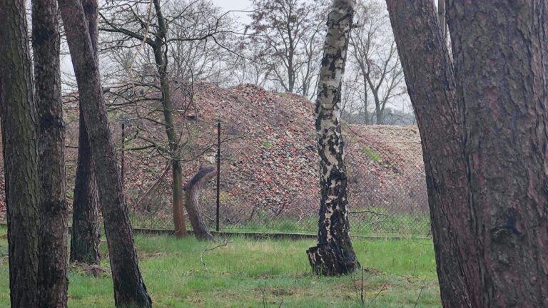 Obiekt 50050 Rokada, Nowe Borówko, województwo wielkopolskie - relacja z 04.2023, zdjęcie 7
