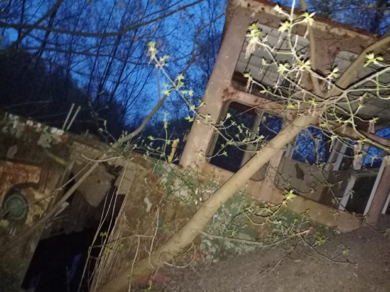 Wrak statku “Chudy Wojtek”, Warszawa, województwo mazowieckie - zdjęcie 4