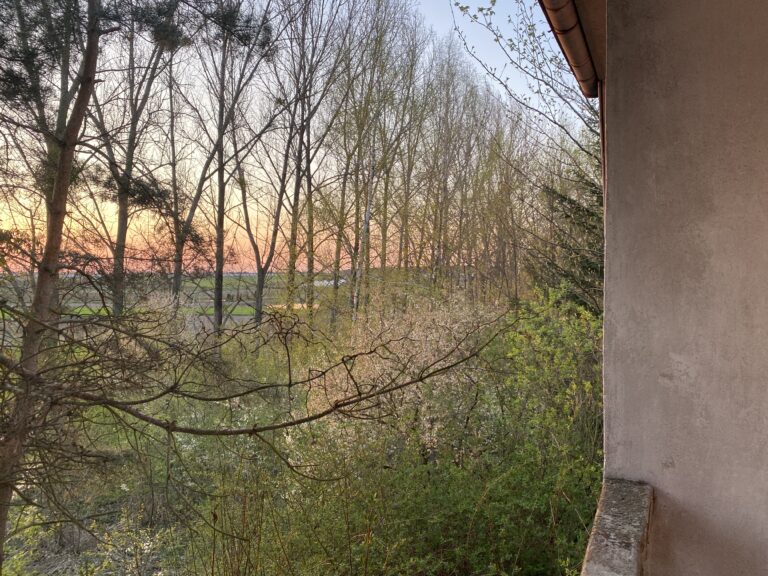 Opuszczony stary pałac, Trzcianka, województwo łódzkie - relacja z 04.2023, zdjęcie 14