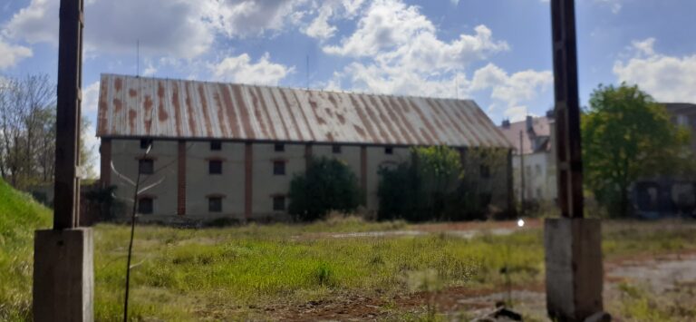 Puszczony hangar, Wysoka, województwo dolnośląskie - zdjęcie 1