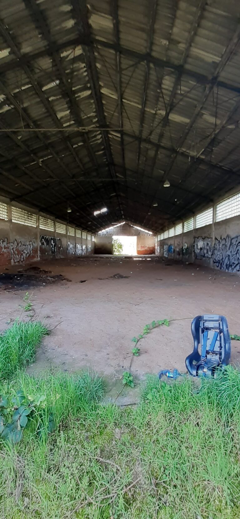 Puszczony hangar, Wysoka, województwo dolnośląskie - zdjęcie 3