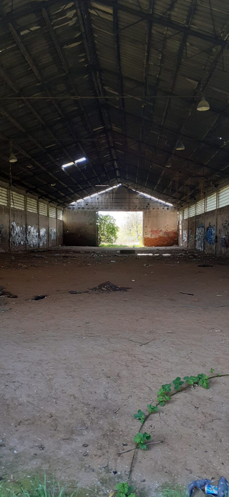 Puszczony hangar, Wysoka, województwo dolnośląskie - zdjęcie 4