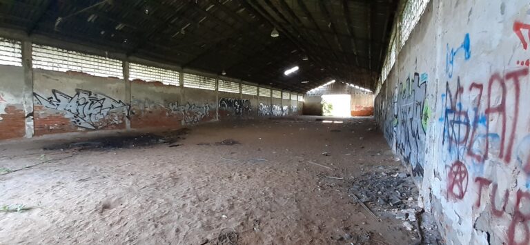 Puszczony hangar, Wysoka, województwo dolnośląskie - zdjęcie 6