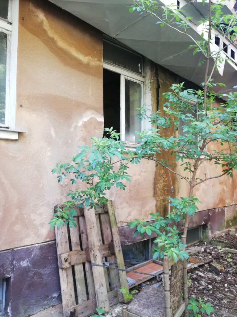 Siedziba PSS “Społem”, Tarnów, województwo małopolskie - zdjęcie z relacji 11