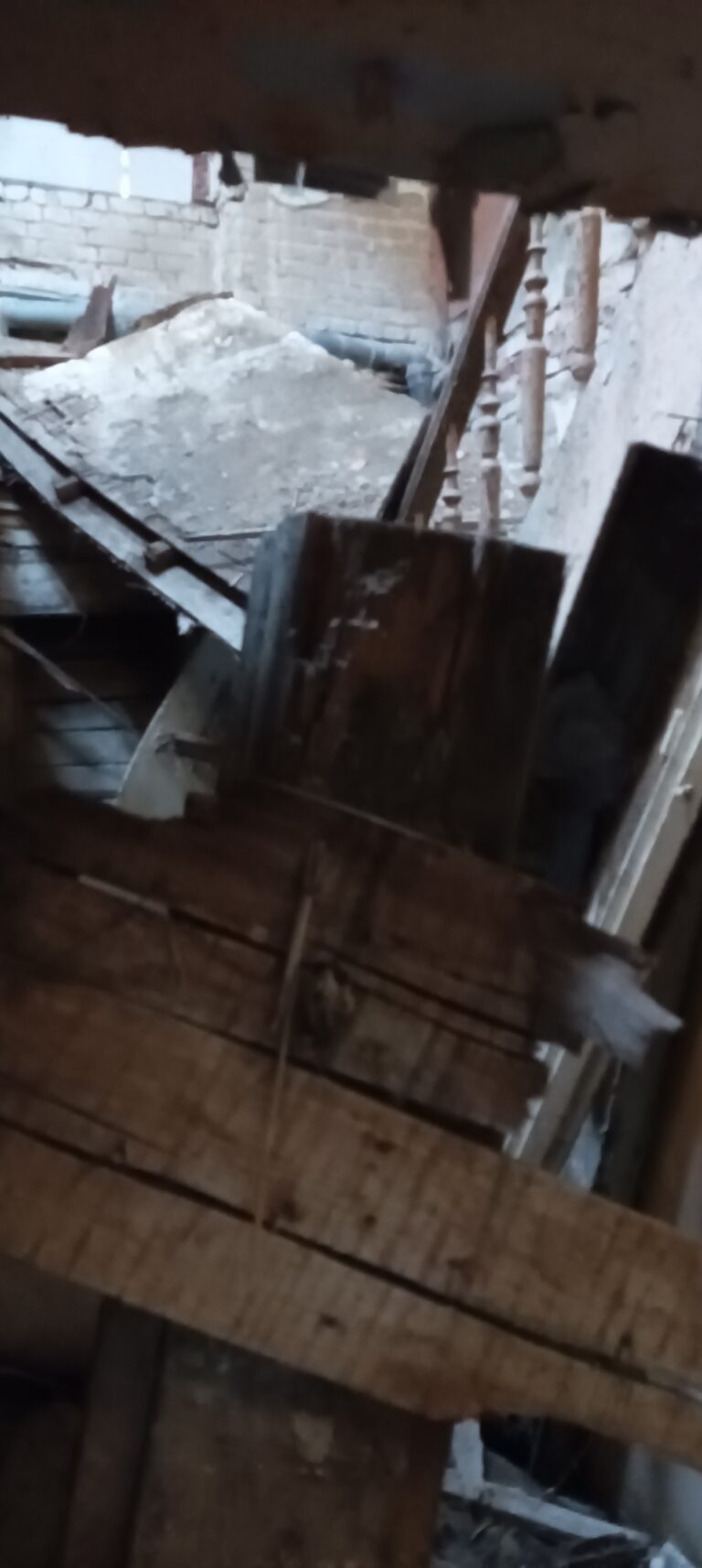 Restauracja Leśna, Bydgoszcz, województwo kujawsko-pomorskie - relacja z 05.2023, zdjęcie 11