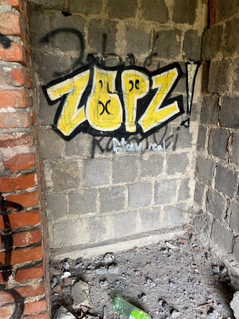 Opuszczony dom, Rzeszów, województwo podkarpackie - relacja z 05.2023, zdjęcie 4