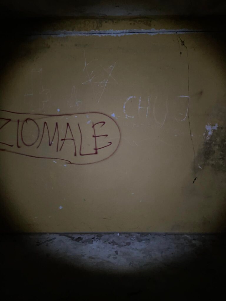 Opuszczony dom, Rzeszów, województwo podkarpackie - relacja z 05.2023, zdjęcie 6