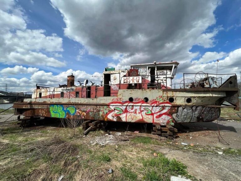 Stary  pchacz, Kraków, województwo małopolskie - zdjęcie 3