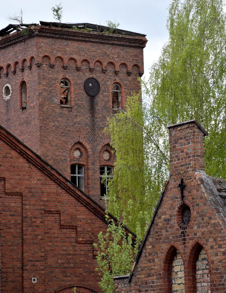 Opuszczony Zakład Psychiatryczny w Owińskach, Owińska, województwo wielkopolskie - zdjęcie 3