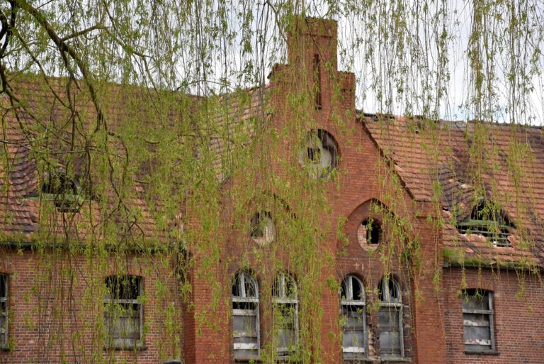 Opuszczony Zakład Psychiatryczny w Owińskach, Owińska, województwo wielkopolskie - zdjęcie 4
