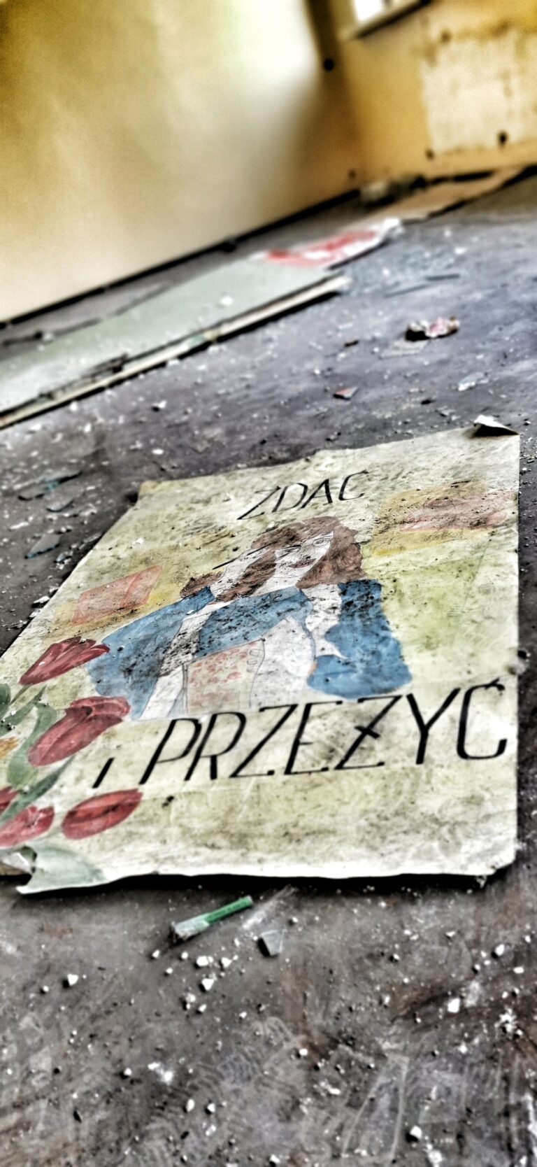 Zespół szkół, Bytom, województwo śląskie - relacja z 05.2023, zdjęcie 19