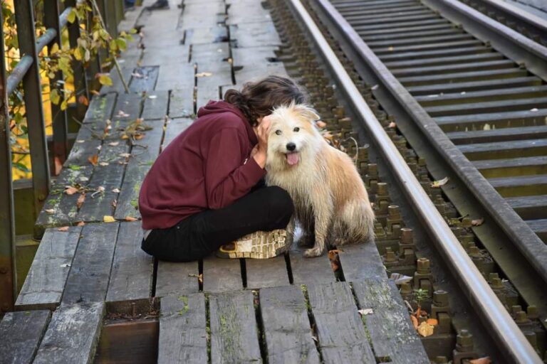 Most kolejowy w Rutkach, Przewłoka, województwo pomorskie - relacja z 10.2020, zdjęcie 7