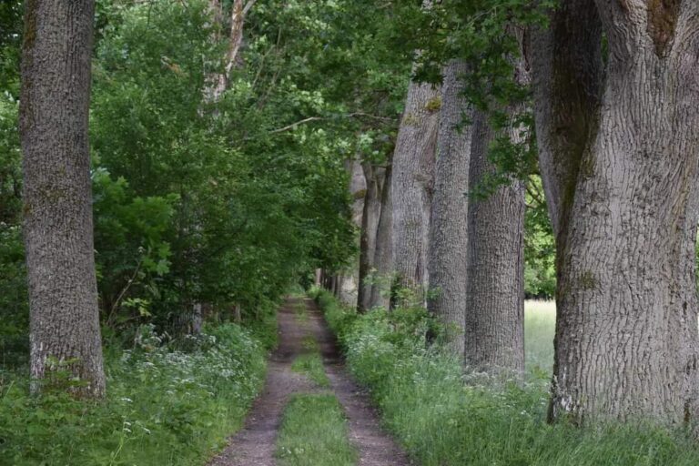 Mauzoleum Lehndorffów, Sztynort, województwo warmińsko-mazurskie - relacja z 06.2022, zdjęcie 18
