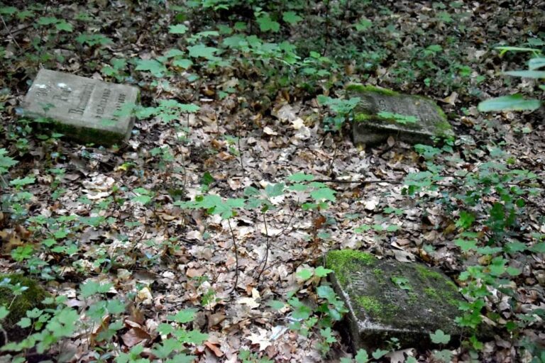 Przedwojenny cmentarz szpitala psychiatrycznego, Wejherowo, województwo pomorskie - relacja z 06.2020, zdjęcie 13