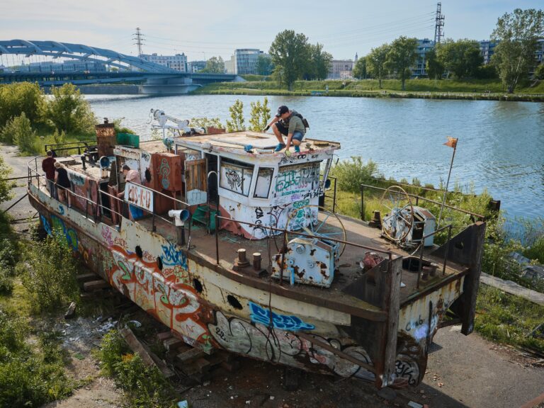 Stary  pchacz, Kraków, województwo małopolskie - relacja z 05.2023, zdjęcie 4