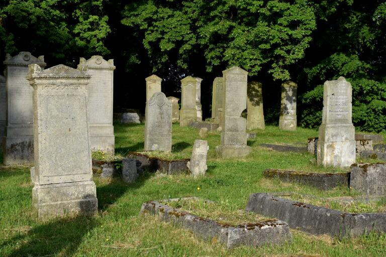 Cmentarz mennonitów (XVIII w.), Stogi, województwo pomorskie - relacja z 05.2023, zdjęcie 12