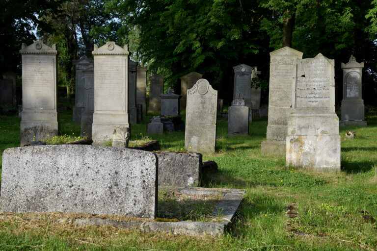 Cmentarz mennonitów (XVIII w.), Stogi, województwo pomorskie - relacja z 05.2023, zdjęcie 13