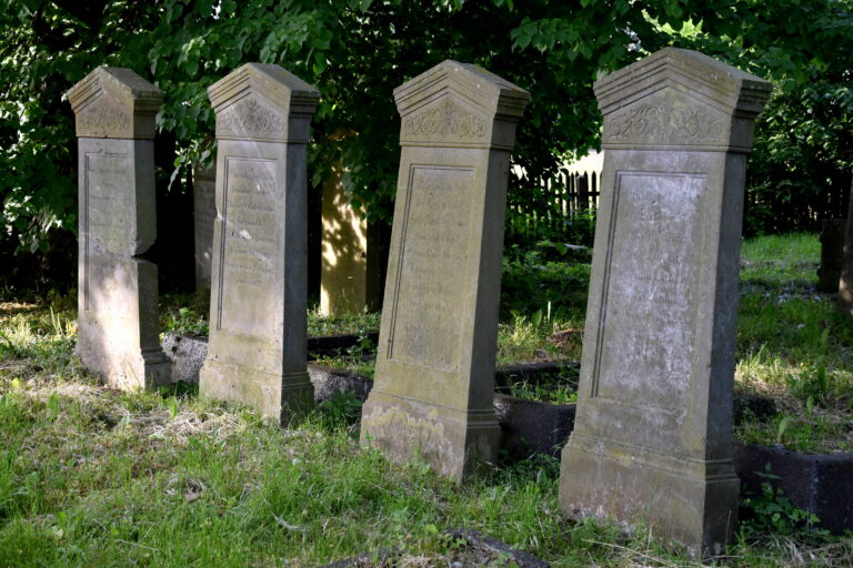 Cmentarz mennonitów (XVIII w.), Stogi, województwo pomorskie - relacja z 05.2023, zdjęcie 15