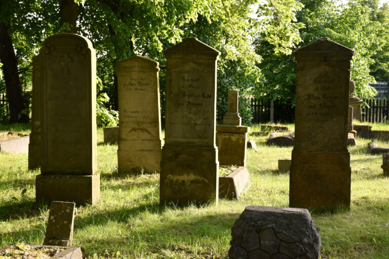 Cmentarz mennonitów (XVIII w.), Stogi, województwo pomorskie - relacja z 05.2023, zdjęcie 16