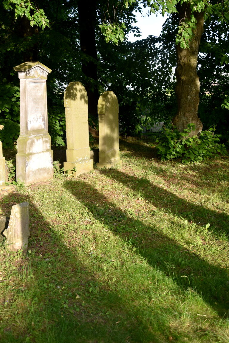 Cmentarz mennonitów (XVIII w.), Stogi, województwo pomorskie - relacja z 05.2023, zdjęcie 17
