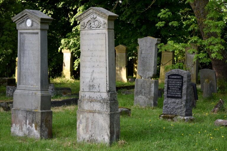 Cmentarz mennonitów (XVIII w.), Stogi, województwo pomorskie - relacja z 05.2023, zdjęcie 18
