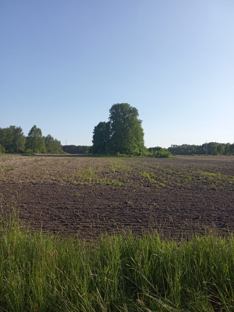 Opuszczony kościół, Bogusławów, województwo łódzkie - relacja z 06.2023, zdjęcie 1