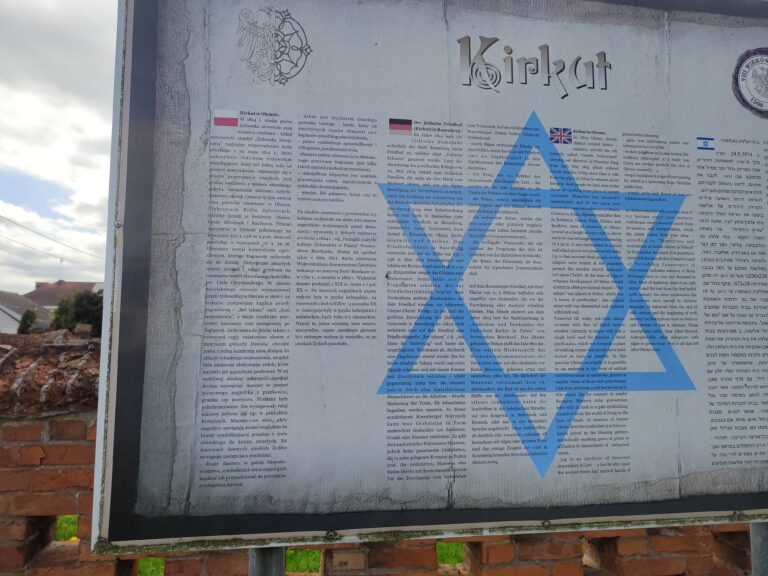 Oleski kirkut, Olesno, województwo opolskie - zdjęcie z relacji 3