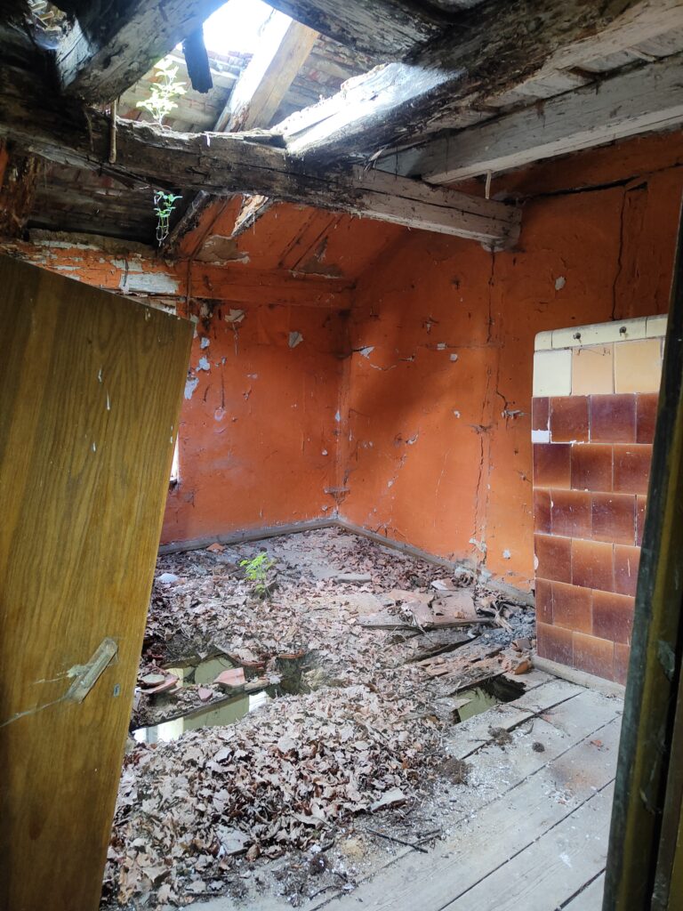 Folwark Bzionków, Bzionków, województwo opolskie - zdjęcie z relacji 9