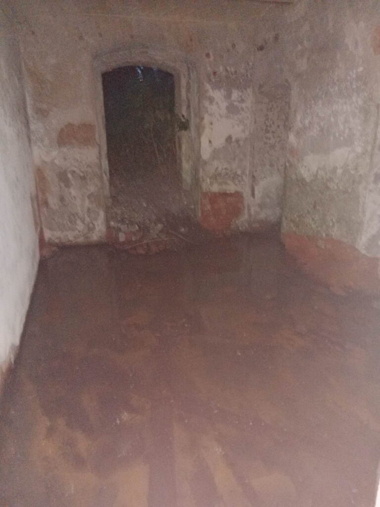 Pałac w Górce Wąsoskiej, Górka Wąsoska, województwo dolnośląskie - zdjęcie 4