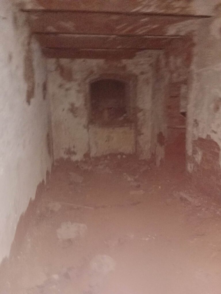 Pałac w Górce Wąsoskiej, Górka Wąsoska, województwo dolnośląskie - zdjęcie 8