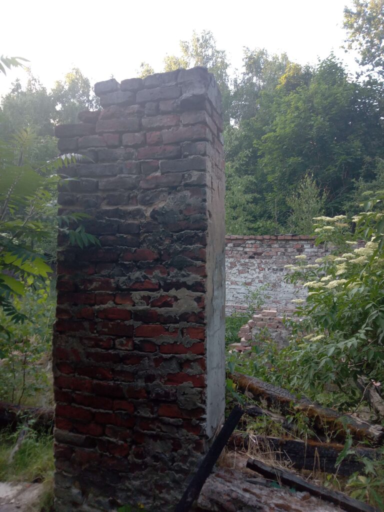 Opuszczone gospodarstwo w lesie, Łódź, województwo łódzkie - zdjęcie 1