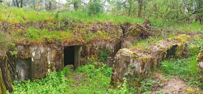 Strączno – schrony, Wałcz, województwo zachodniopomorskie - relacja z 05.2023, zdjęcie 1
