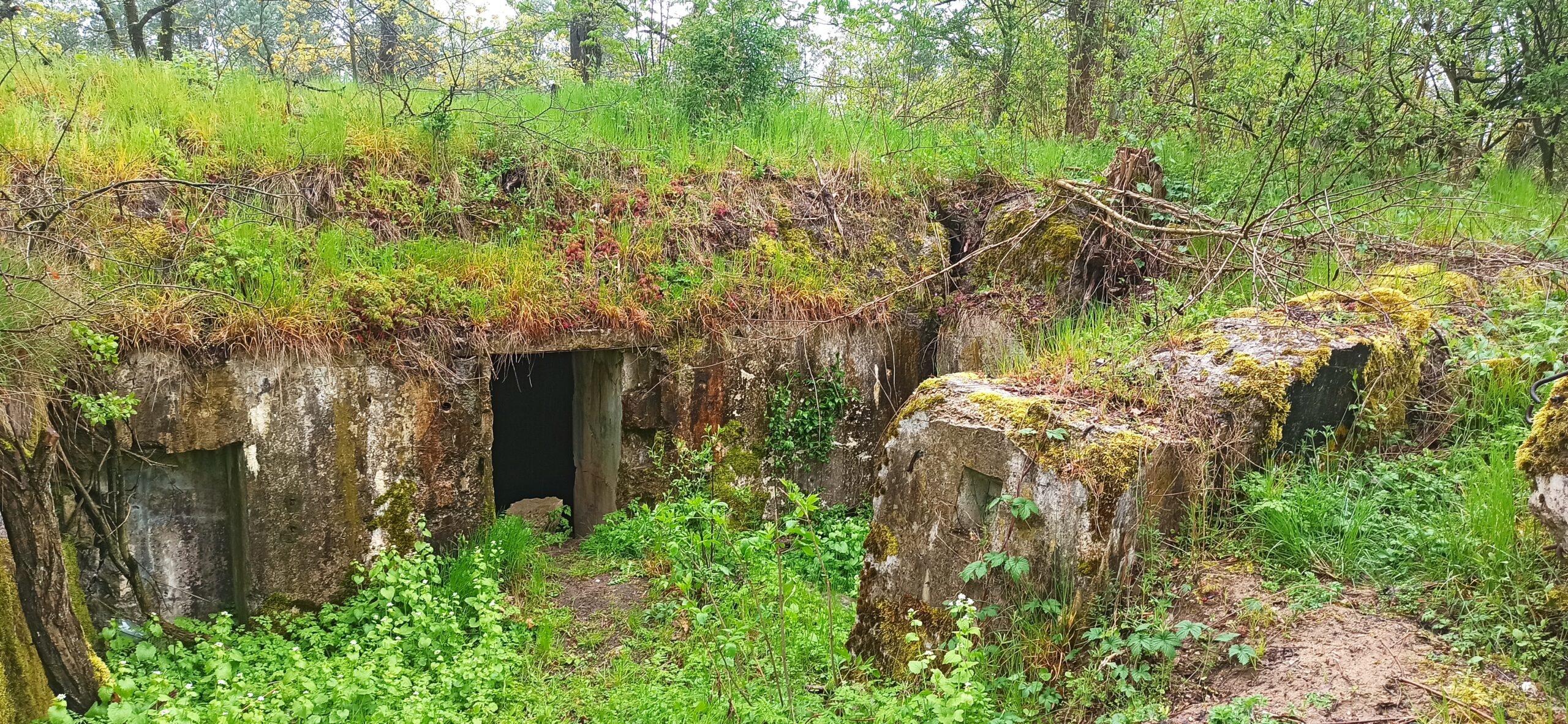 Strączno – schrony, Wałcz, województwo zachodniopomorskie