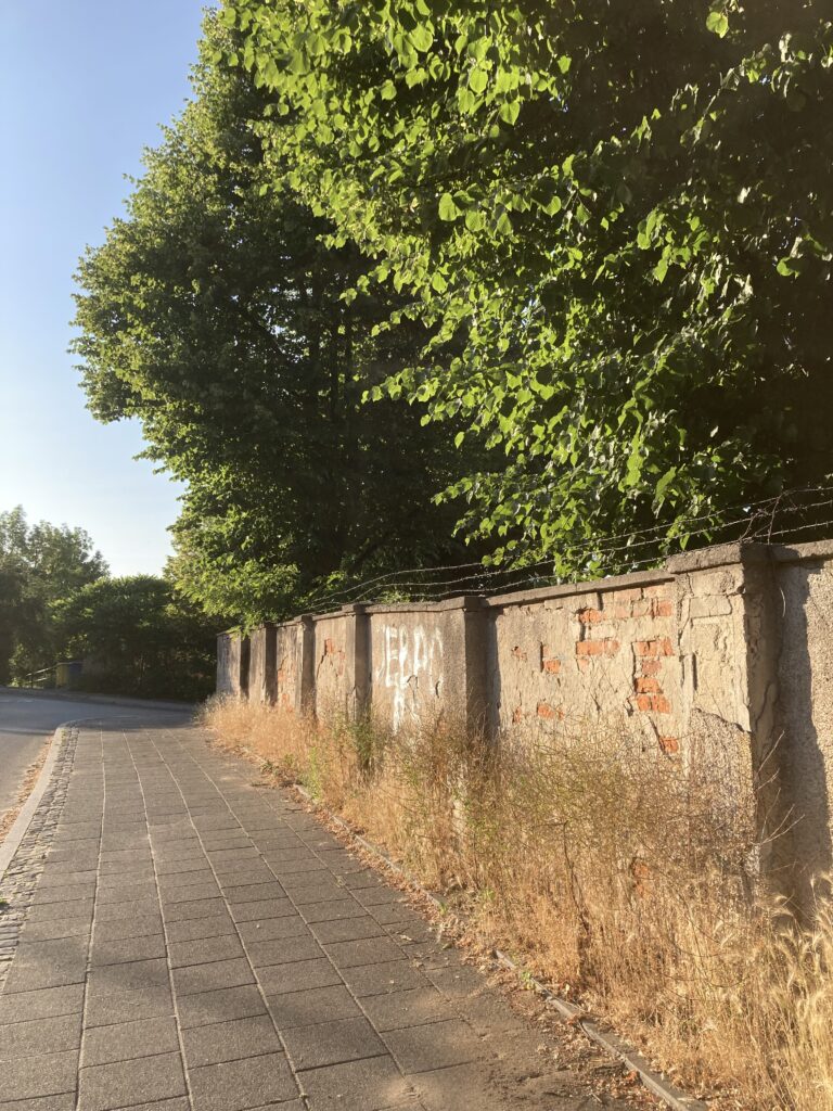 Dom Asystenta – Gdański Uniwersytet Medyczny, Gdańsk, województwo pomorskie - relacja z 06.2023, zdjęcie 11