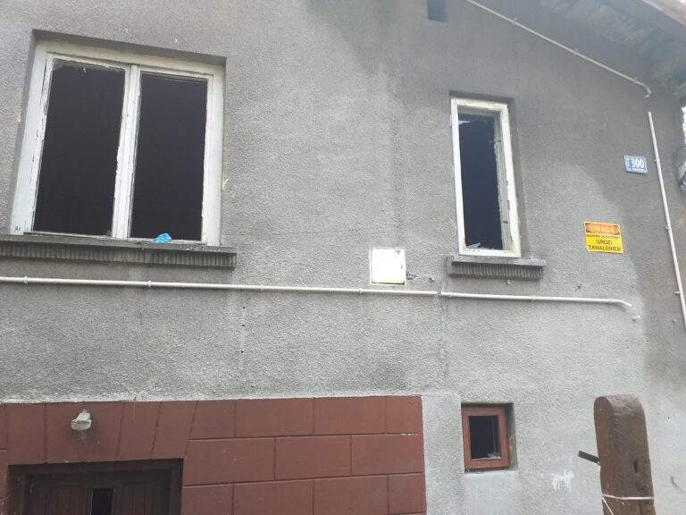 Opuszczone domy w lesie, Luszowice, województwo małopolskie - zdjęcie 6