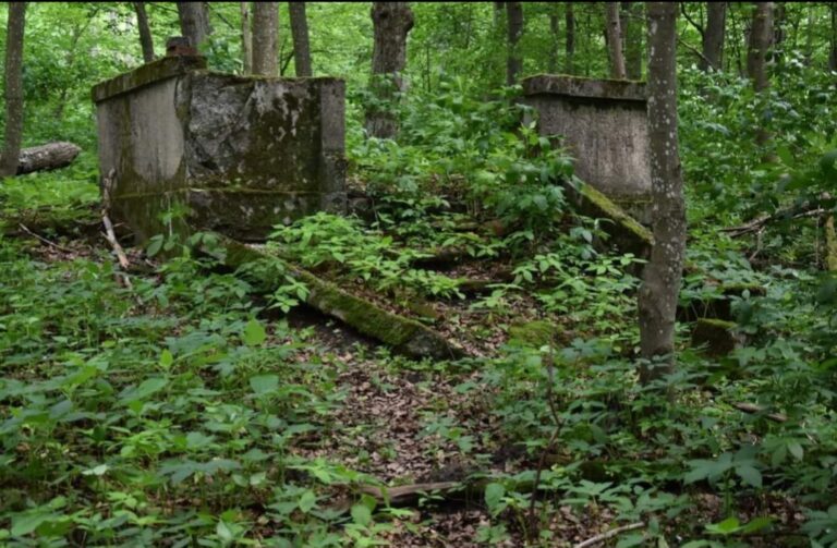Ruiny świątyni dumania, Doba, województwo warmińsko-mazurskie - relacja z 06.2021, zdjęcie 9
