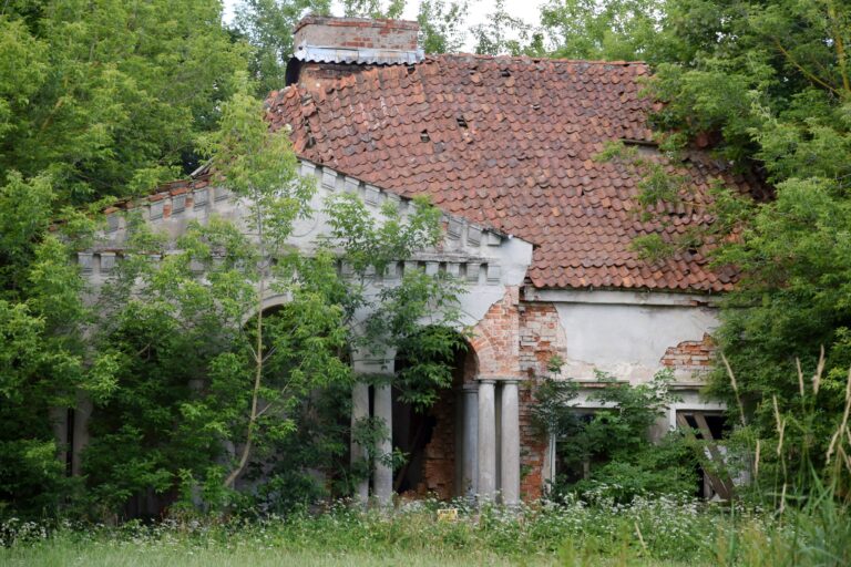 Ruiny dworu Długosze z 1857 roku rodziny Lebesius, Kosewo, województwo warmińsko-mazurskie - zdjęcie 6