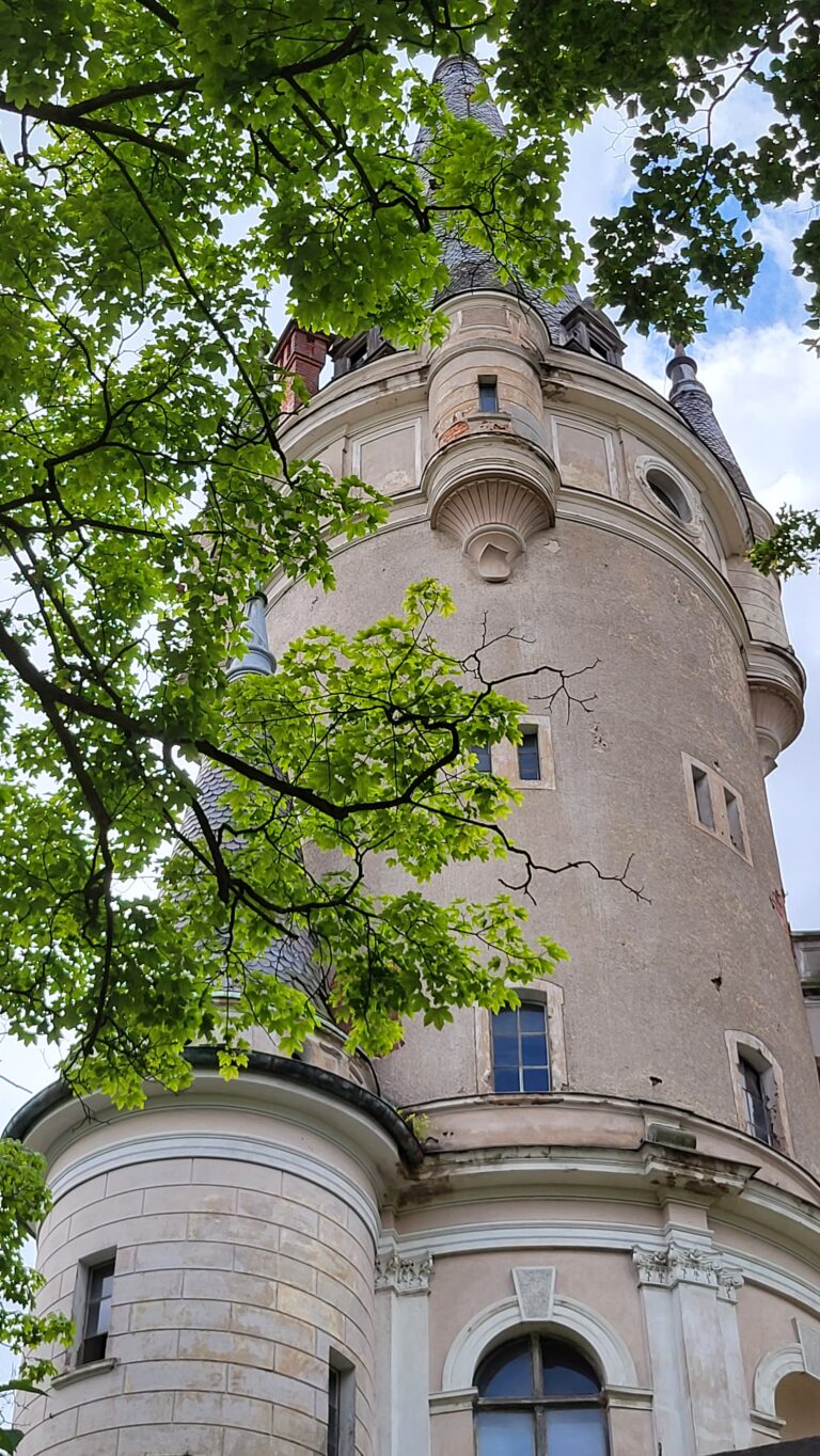 Pałac rodu von Magnis, Bożków, województwo dolnośląskie - relacja z 07.2023, zdjęcie 12