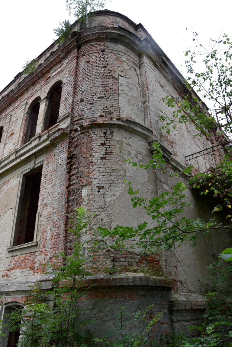 Opuszczony pałac z końca XIX w., Dębno, województwo wielkopolskie - relacja z 07.2023, zdjęcie 9