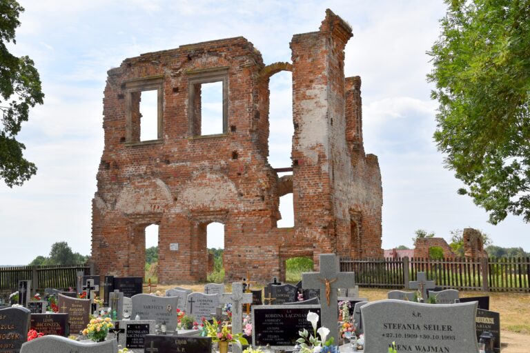 Ruiny Pałacu Opalińskich w Radlinie, Cielcza, województwo wielkopolskie - relacja z 07.2023, zdjęcie 5