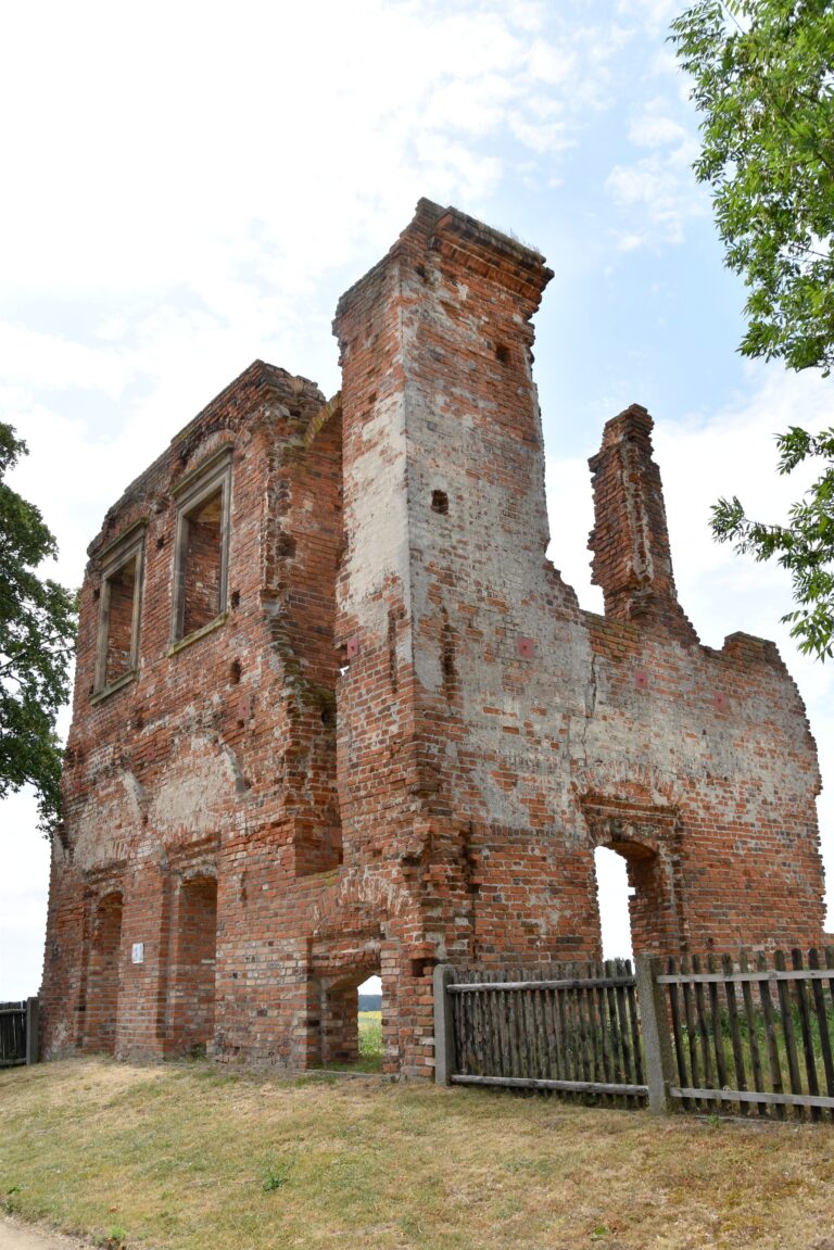 Ruiny Pałacu Opalińskich w Radlinie, Cielcza, województwo wielkopolskie - relacja z 07.2023, zdjęcie 6