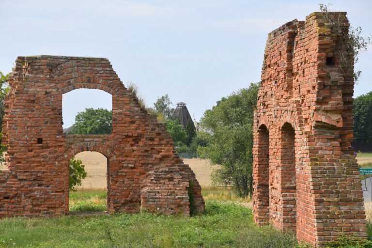 Ruiny Pałacu Opalińskich w Radlinie, Cielcza, województwo wielkopolskie - relacja z 07.2023, zdjęcie 9