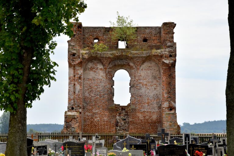 Ruiny Pałacu Opalińskich w Radlinie, Cielcza, województwo wielkopolskie - relacja z 07.2023, zdjęcie 10